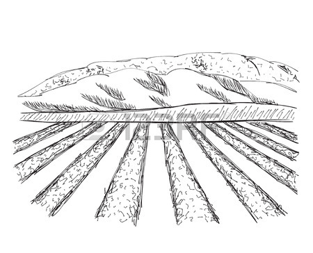 450x364 Farm Landscape Etch, Agriculture Scene. Hand Drawn Fields Royalty