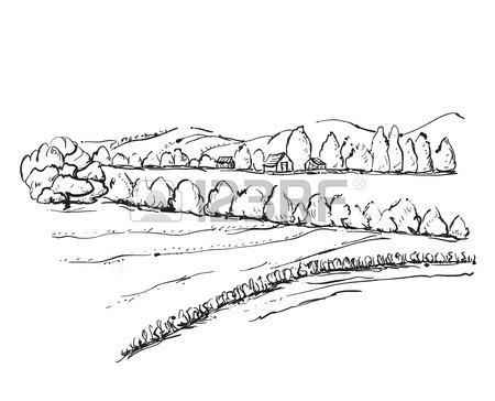 450x364 Hand Drawn Field Sketch. Trees And Field Royalty Free Cliparts