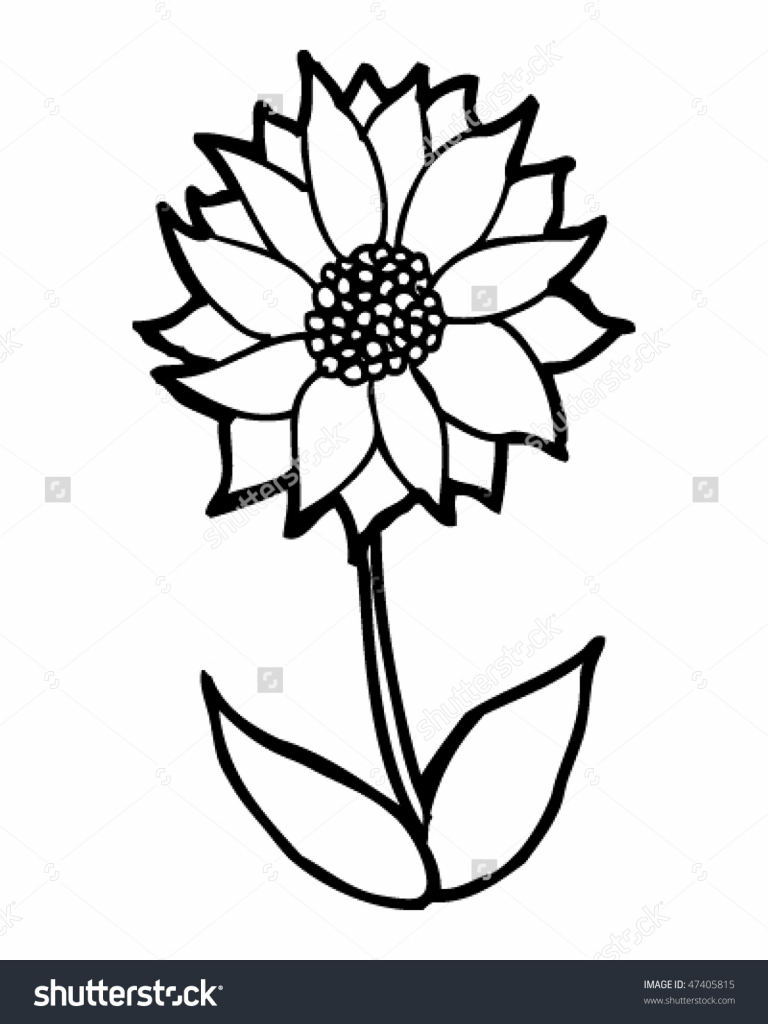 768x1024 Cartoon Flower Drawings Flower Field Drawing Field Of Flowers