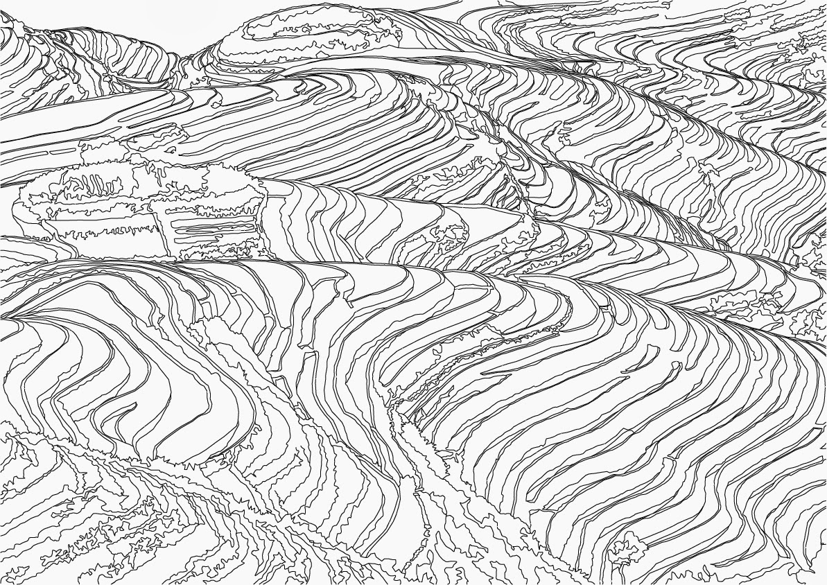 1193x844 James Tandy Final Major Project Rice Fields