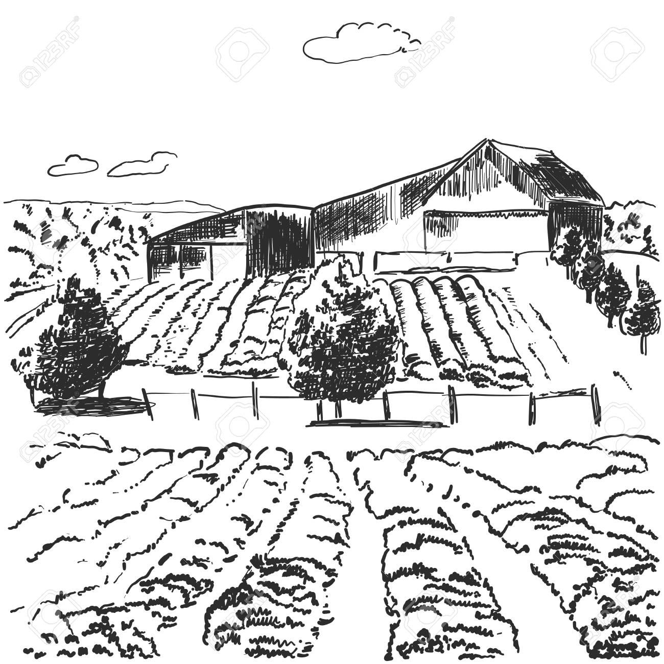 1300x1300 Landscape With Fields And House On A Plain Background. Royalty