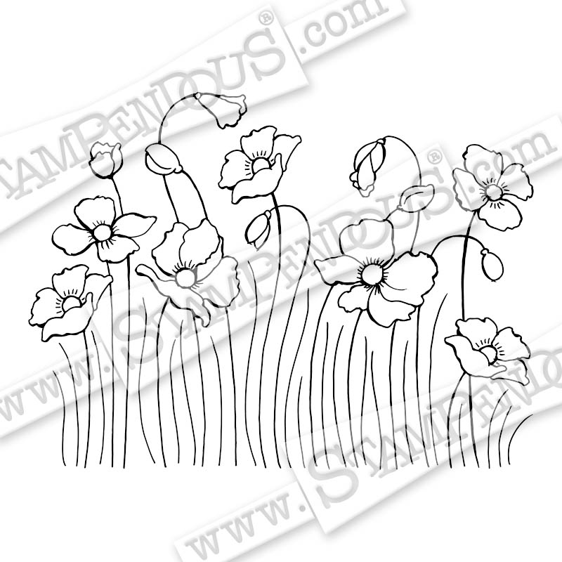 800x800 Poppy Fields By Rhea Weigand