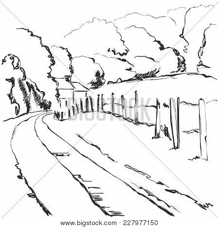 450x470 Vineyard Images, Illustrations, Vectors
