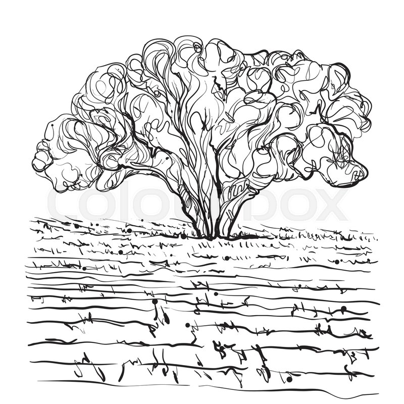 800x800 Hand Drawn Fields And Tree. Doodles Landscape Stock Vector