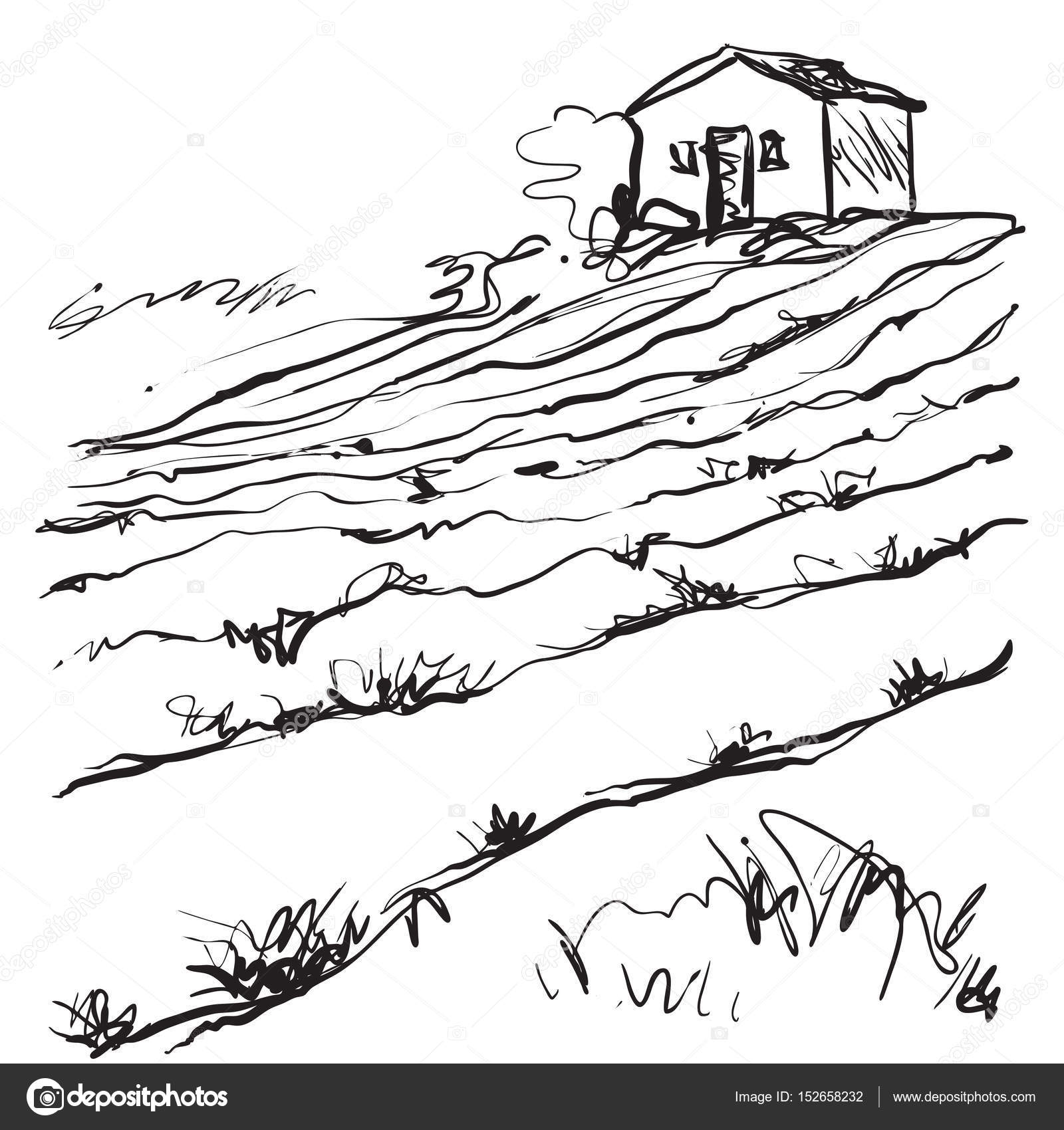 1600x1700 Hand Drawn Illustration Of A Fields Stock Vector Yuliia25