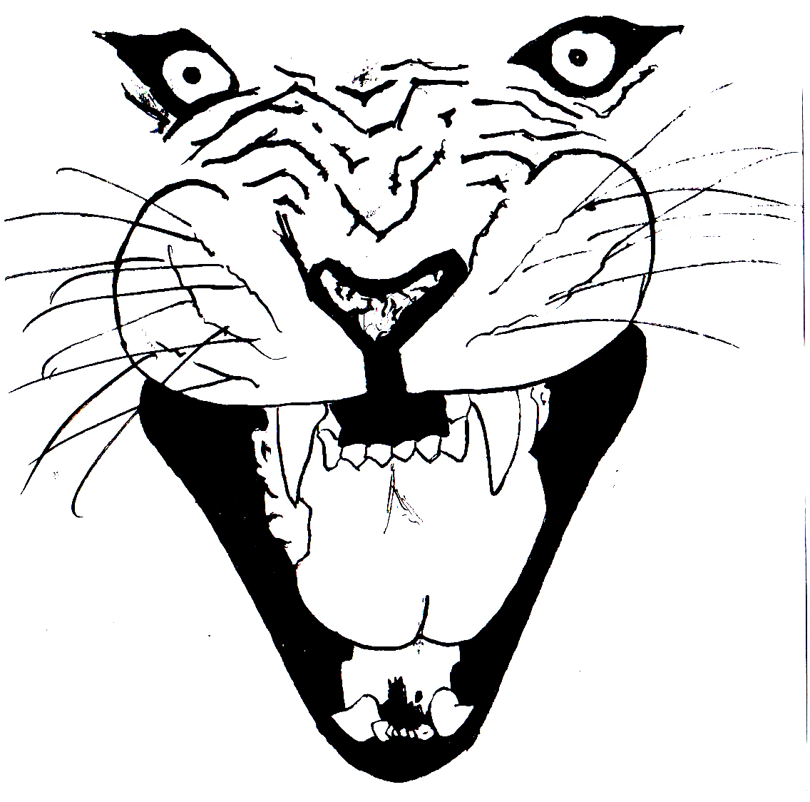 1136x1124 Fierce Lion