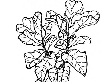 340x270 Plant Print Etsy