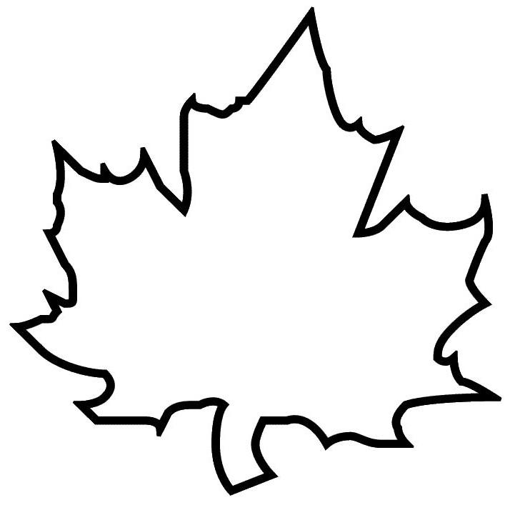 714x714 Revisited Maple Leaf Template To Print Fig Pattern Use