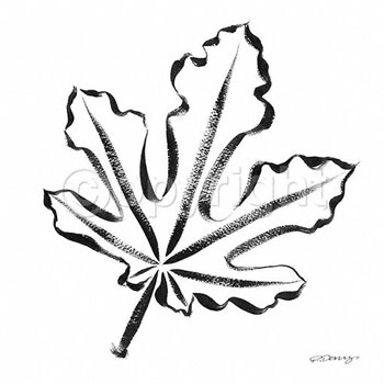 350x350 Georgia O'Keeffe And Andy Warhol