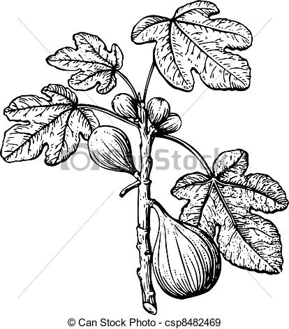 414x470 Eps Vectors Of Fig