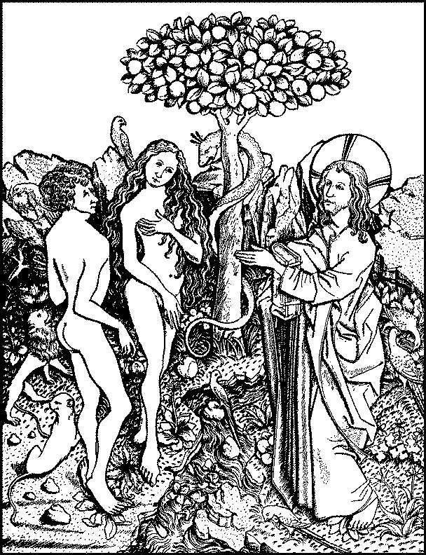 608x792 Images And Significance Of Various Types Of Trees, As Mentioned