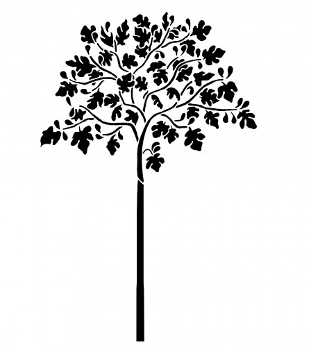 Fig Tree Drawing at GetDrawings | Free download