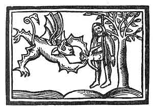 300x213 The Book Of Earths Trees Of The World