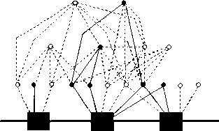 313x188 The Construction And Quantification Of Food Webs Drawing The Webs