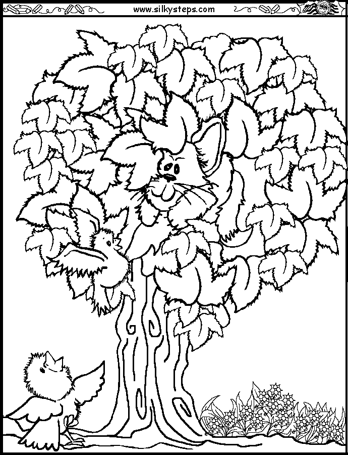 690x900 Gaversichtva Sycamore Fig Tree