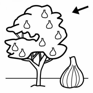 300x300 Tree Coloring Pages Crafts And Worksheets For Preschool,toddler
