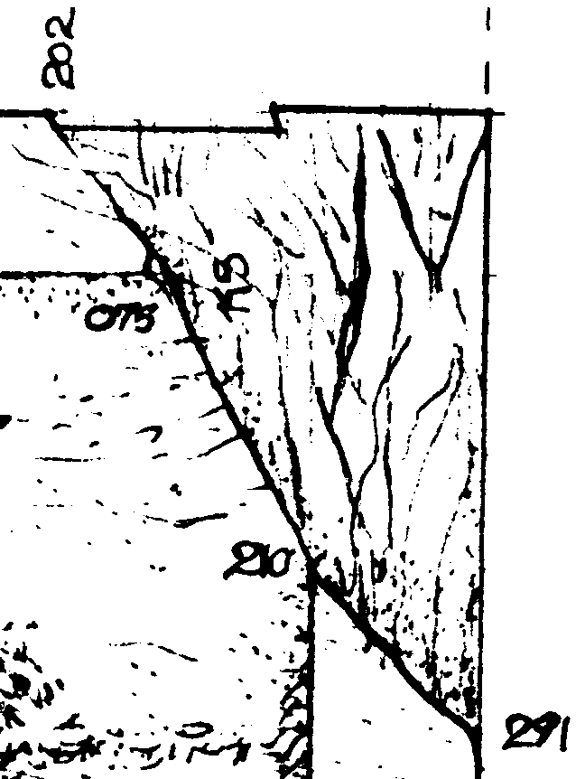 648x862 Csa Newsletter, Winter