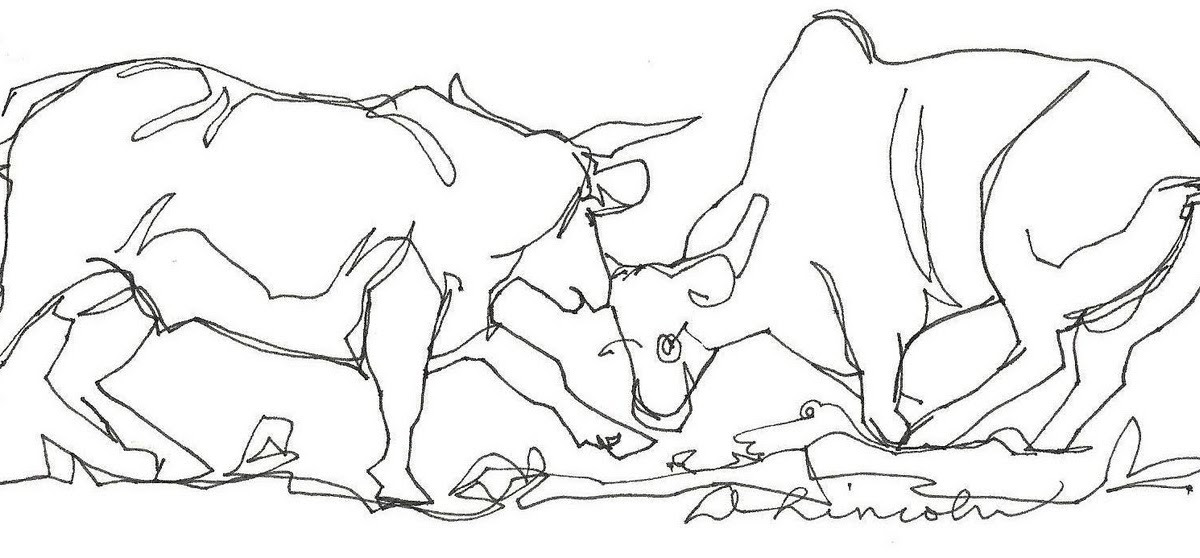 1200x558 Now Or Never Bull Fight