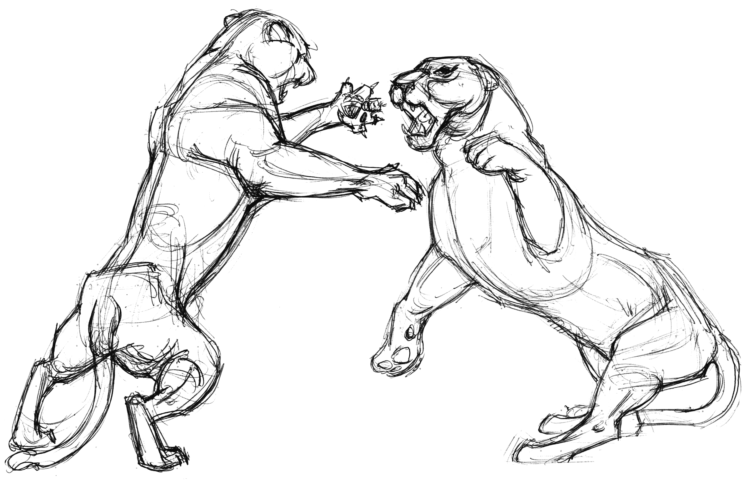 2413x1548 Garygeraths Animal Drawing