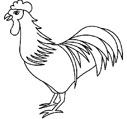 250x234 Draw A Rooster Line Drawing Cooo To Draw Roosters