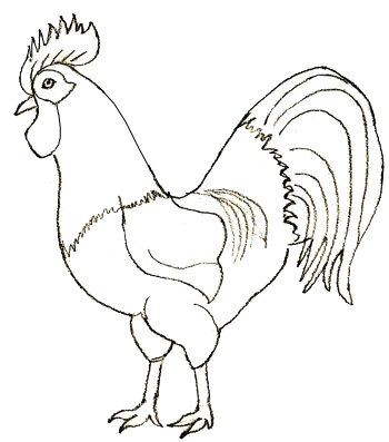 350x397 How To Draw A Rooster