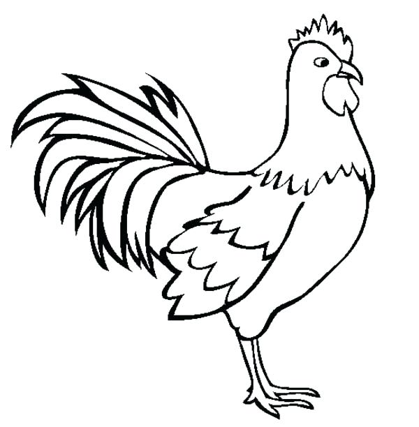 600x612 Awesome Rooster Coloring Pages New Morning Bird Print Color Craft