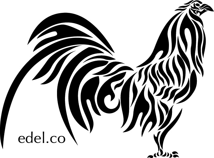 698x515 Roosters Fighting Large By