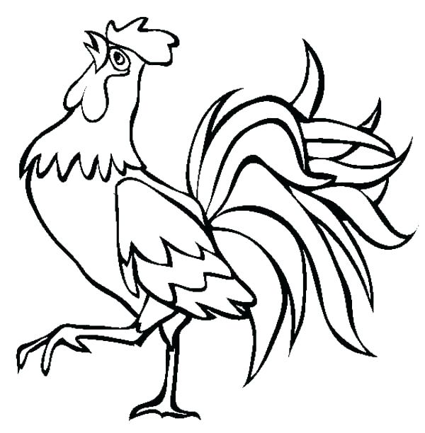 Fighting Rooster Drawing at GetDrawings | Free download