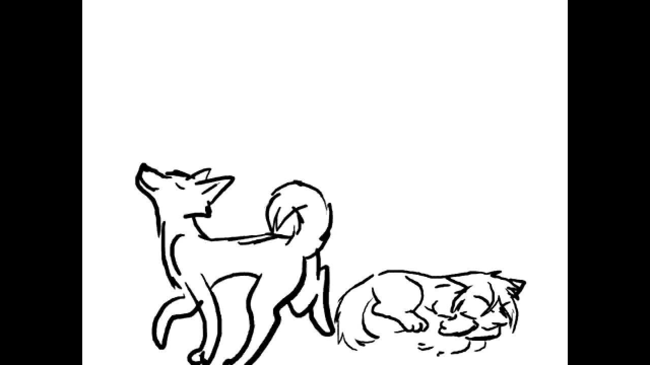 1280x720 Wolf Fight Animation Clip!