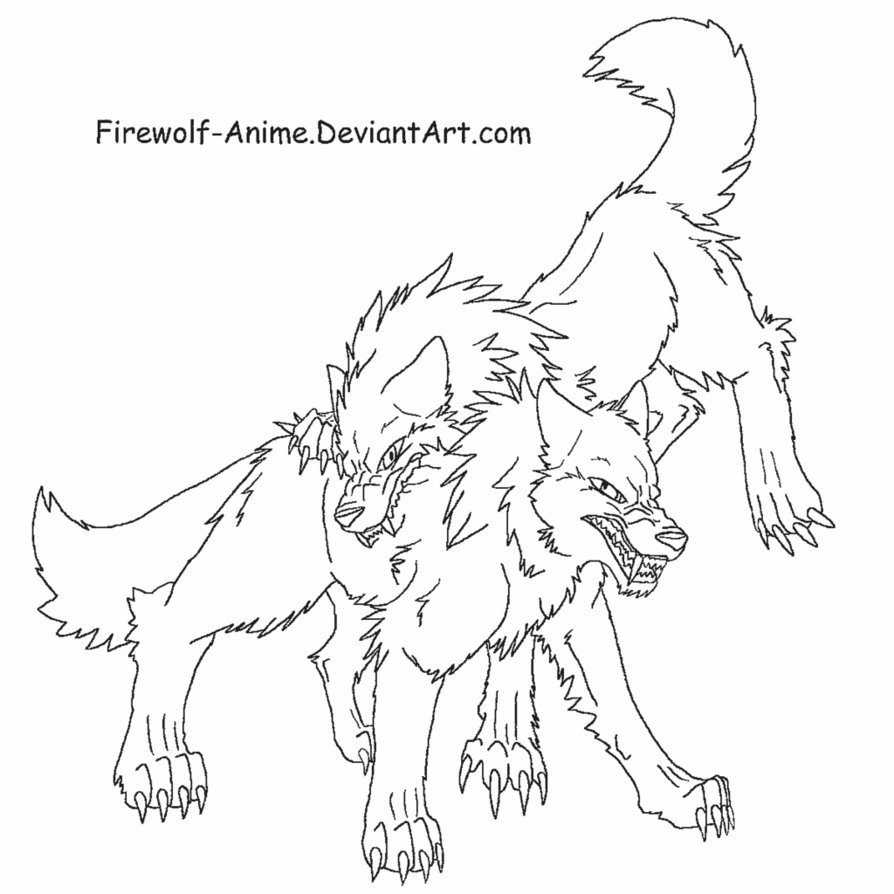 894x894 Wolf Fight Lineart By Firewolf Anime