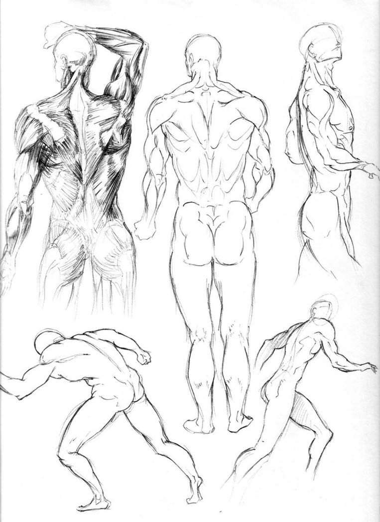 763x1047 Figure Drawing Studies