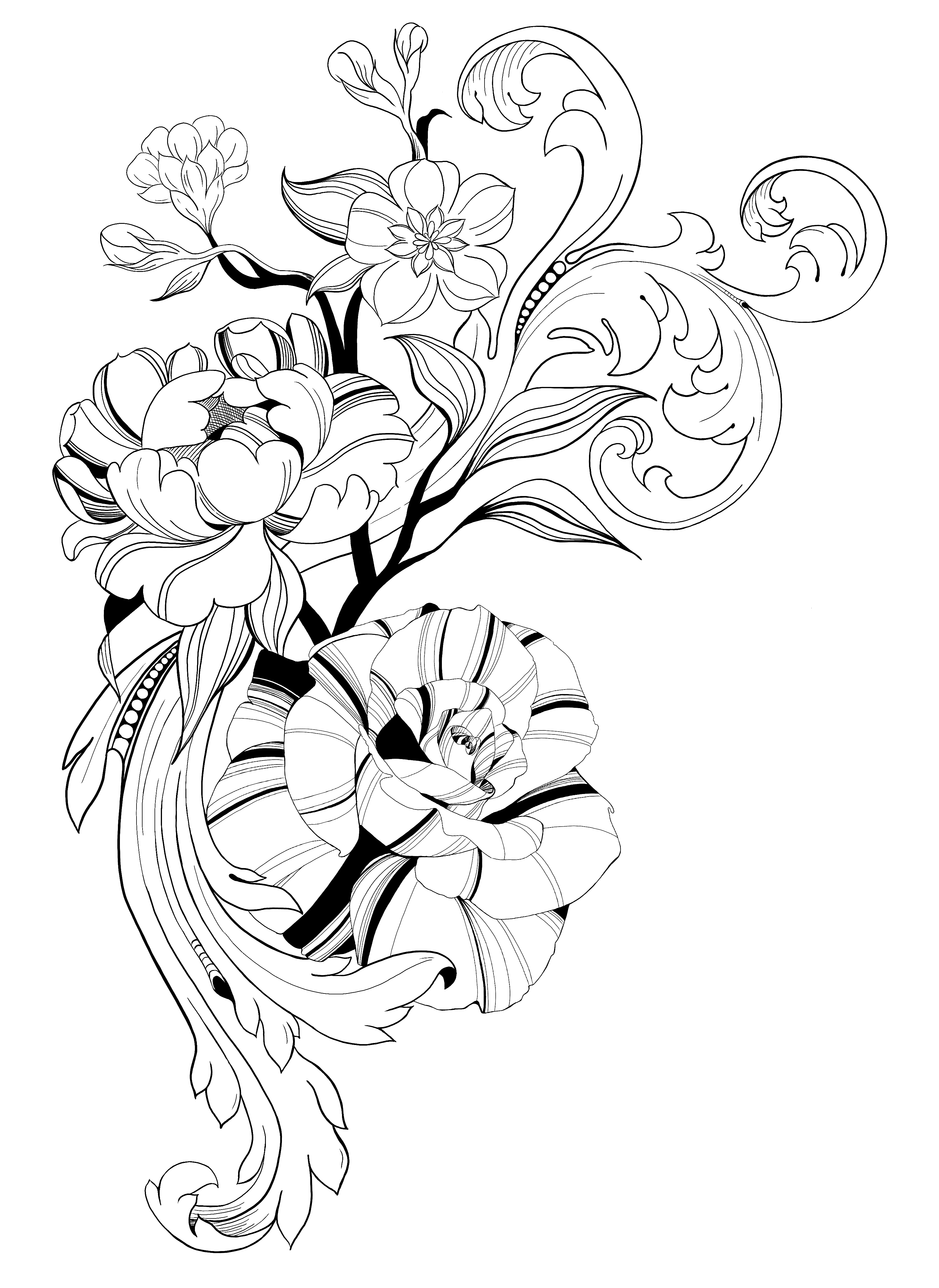 3281x4500 Line Work Flower Drawing