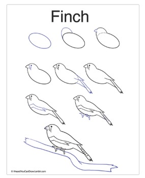 285x350 How To Draw A Finch! By Art Class With Ms S Teachers Pay Teachers