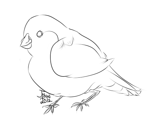 530x420 Zebra Finch Line Art By Jennifire
