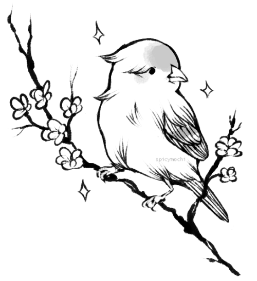 500x548 Finch Drawing Tumblr