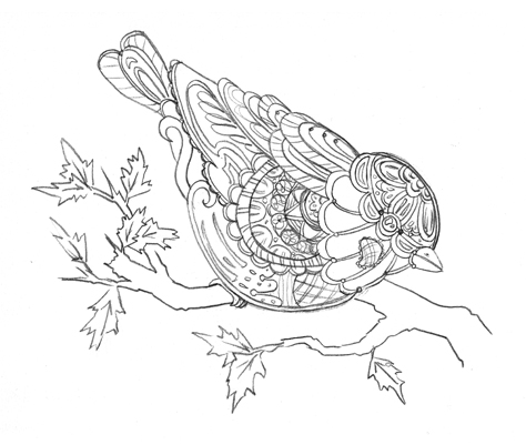 474x401 Purple Finch Drawing