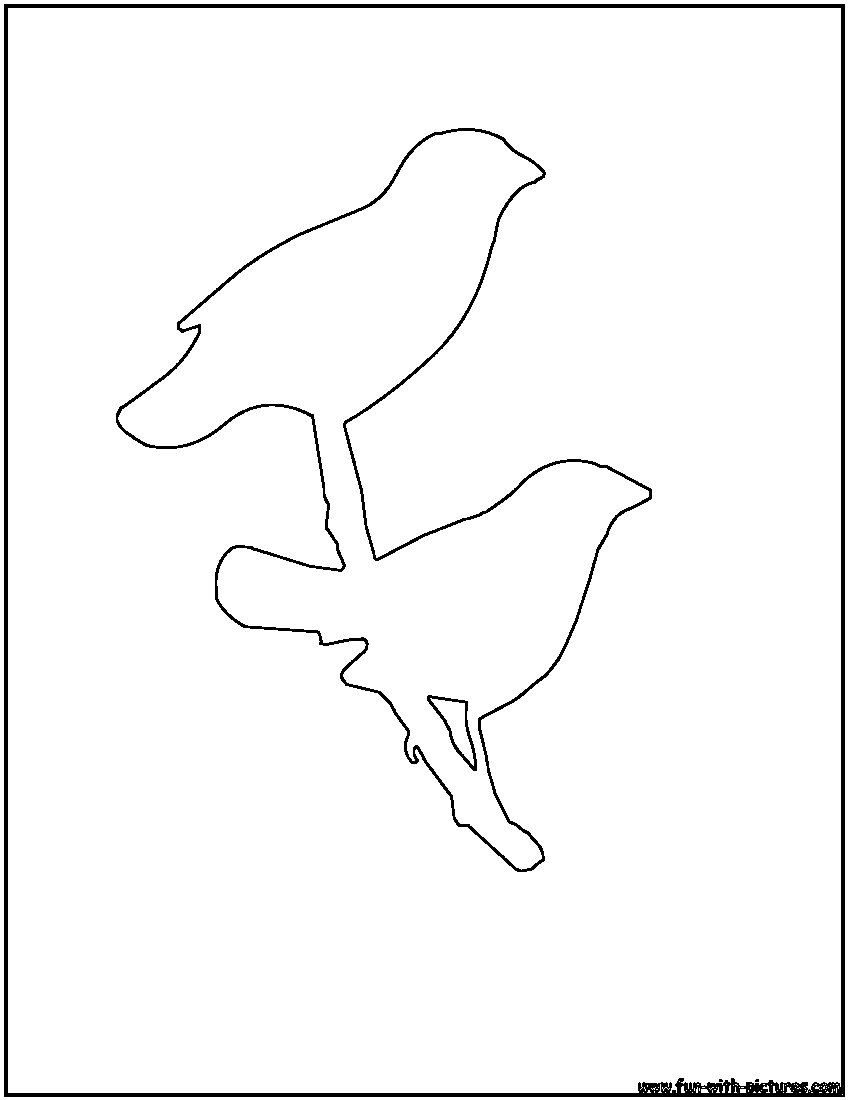 850x1100 Bird Outline Finch Outline Coloring Page Ideas