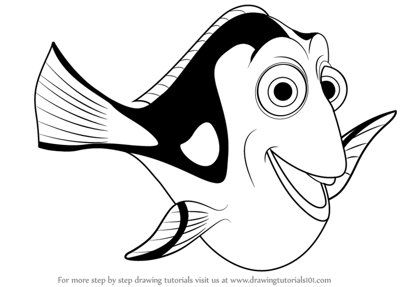 800x566 Nemo Dory Drawing Dory Finding Nemo