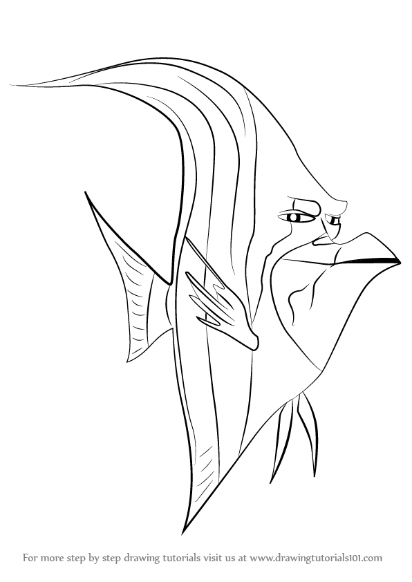 596x842 Step By Step How To Draw Gill From Finding Dory