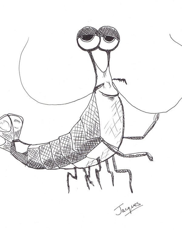 600x759 Jacques By Littlesheepy