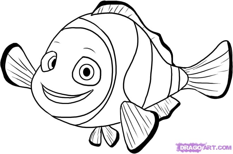 808x533 How To Draw Nemo From Finding Nemo Step 6 Stencils And Templates
