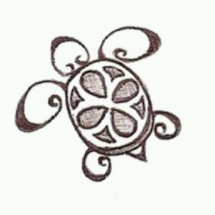 720x720 Drawn Turtle Cute Country