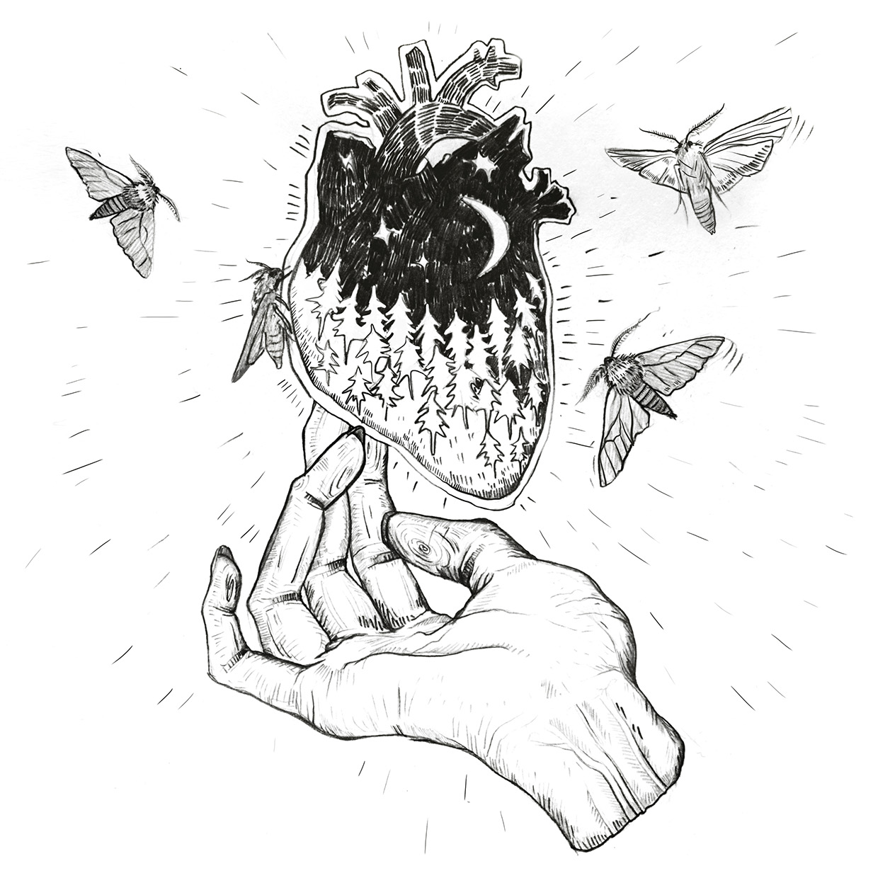 1240x1240 Karina Yashagina On Behance Sketch Illustrate