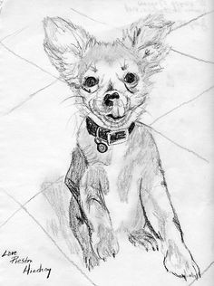 236x316 Sports Commission Portrait Done In Graphite From A Photograph By