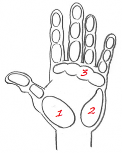 239x300 Drawing Hands 5 Critical Things To Keep In Mind My Drawing