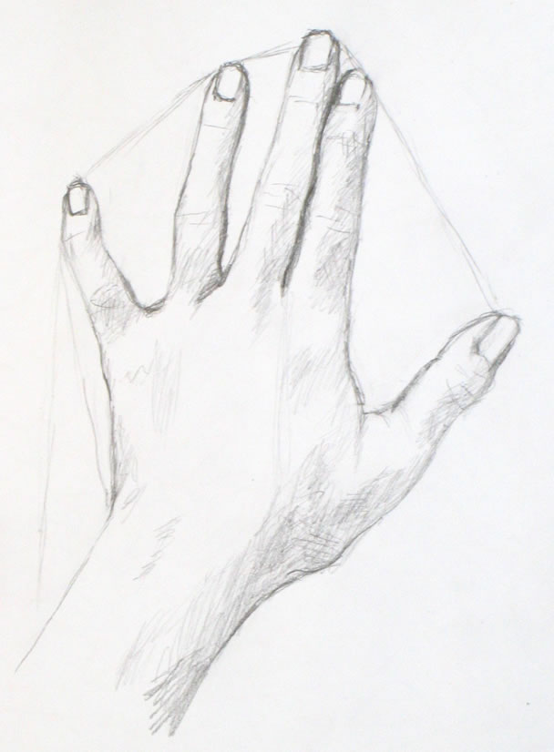 608x826 Drawing Tutorial A Simple Drawing Of Your Hand Portrait Artist
