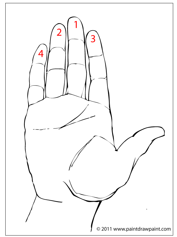 600x800 Paint Draw Paint, Learn To Draw Drawing Basics Drawing The Hand