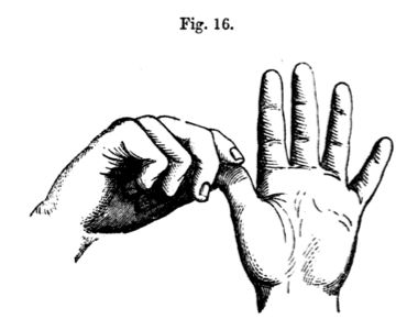 380x300 The Meaning Of The Finger