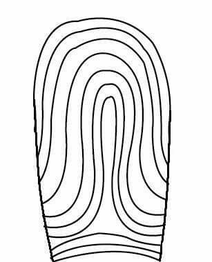 307x380 Best Arch Fingerprint Ideas On Amazing