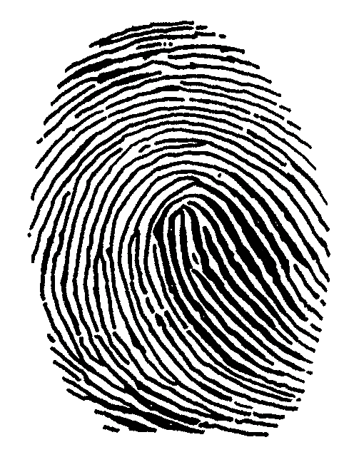 Fingerprint Drawing